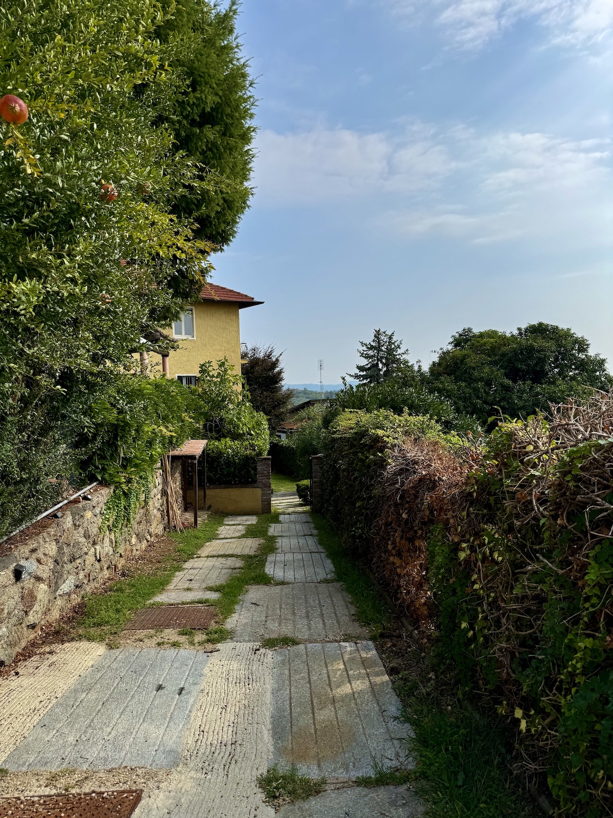 esterno6 Porzione di casa a Pino Torinese