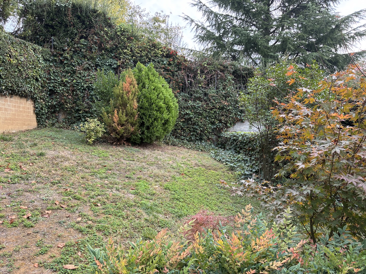 Appartamento signorile con giardino
